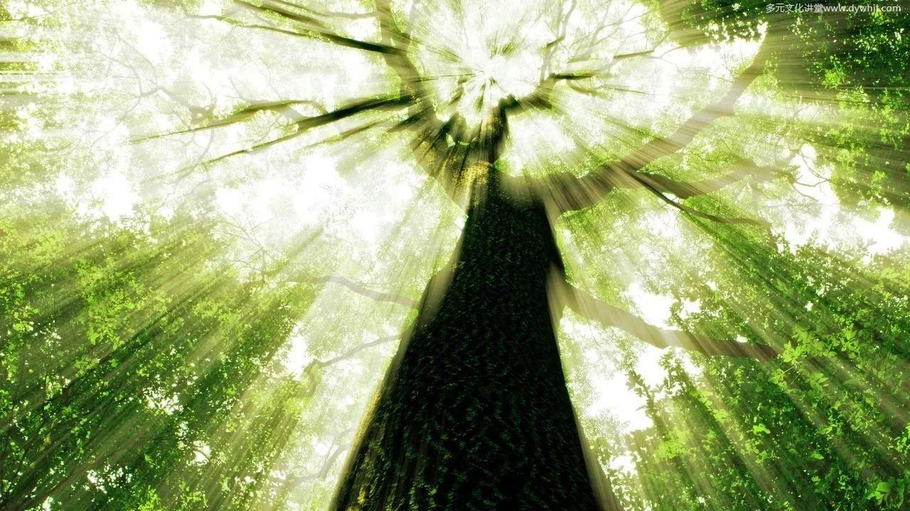 联合国教科文组织「全球祭祖大典」谈话 jingkong老法师2017年9月28日-图片2