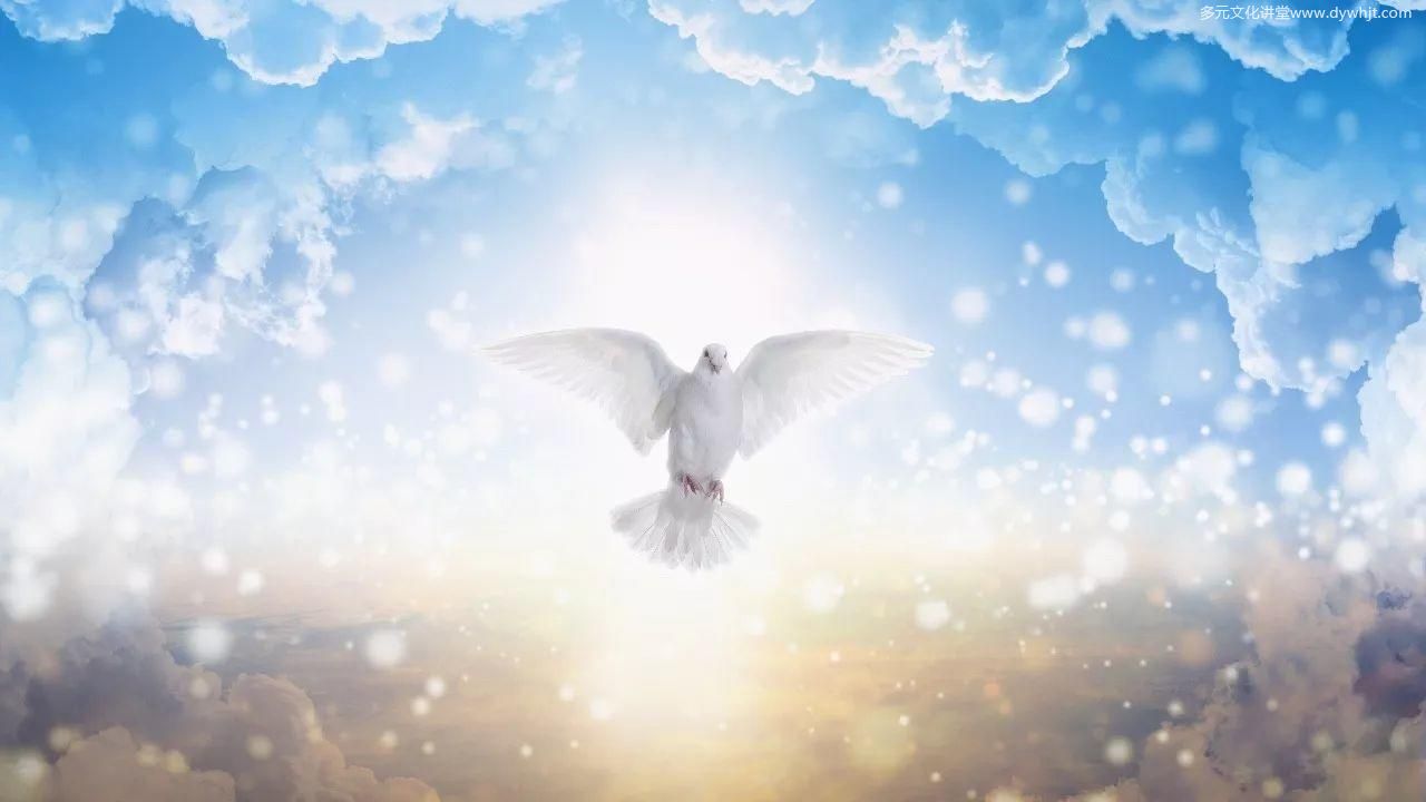 发扬宗教教育  促进安定和平 jingkong老法师2017年9月28日-图片5